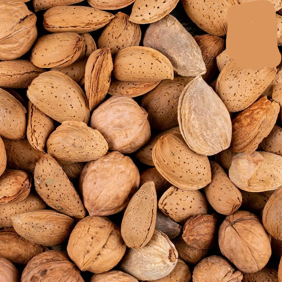 Natural Crunchy Almond Shell from SN Dates