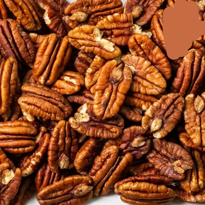 Fresh Handpicked Pecan Nuts from SN Dates