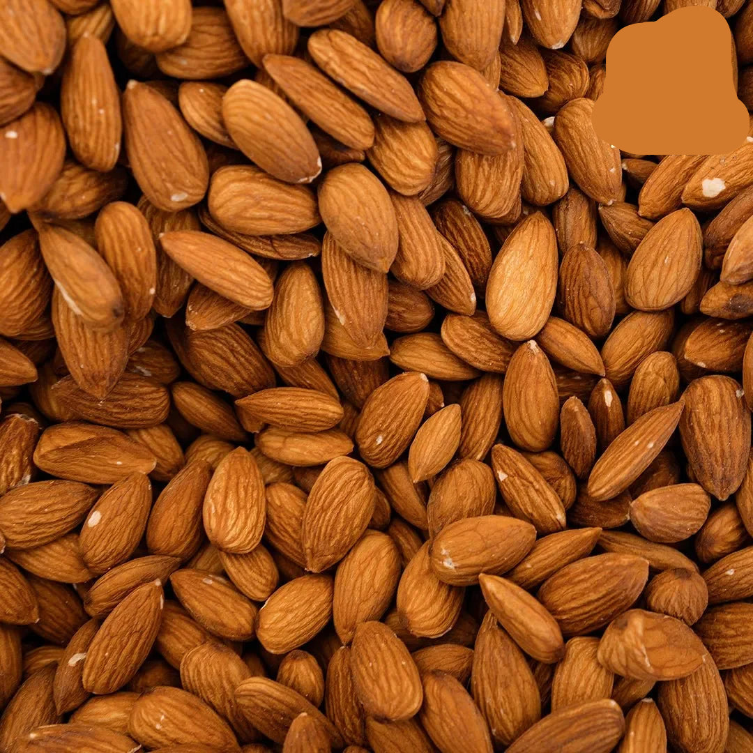 Buy Fresh Almonds Online from SN Dates