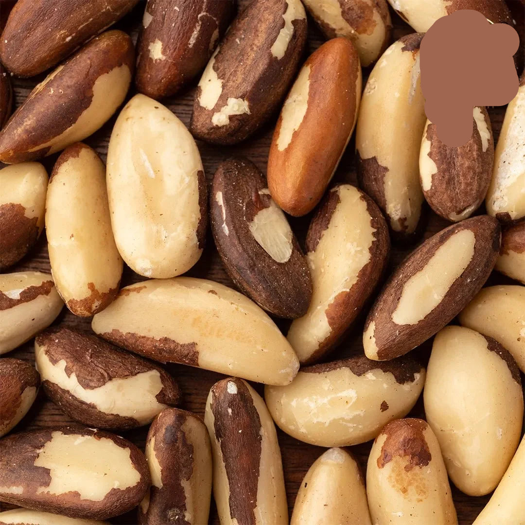 Healthy Brazil Nuts for Daily Nutrition – SN Dates