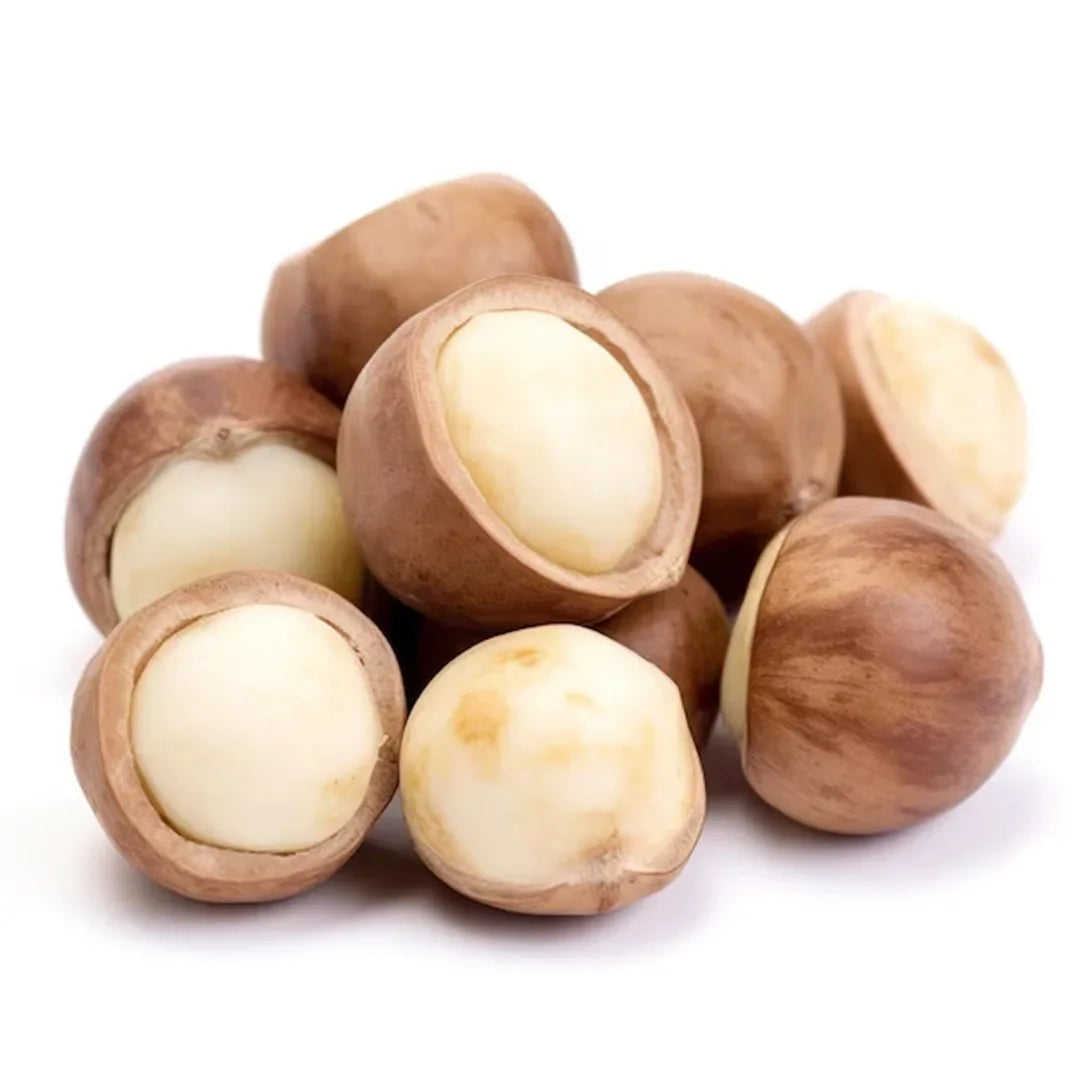 SN Dates Premium Hazel Nuts Brown