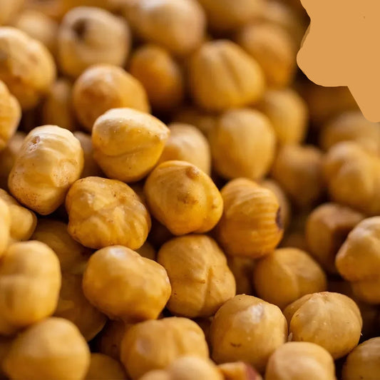 High-Quality White Hazelnuts by SN Dates